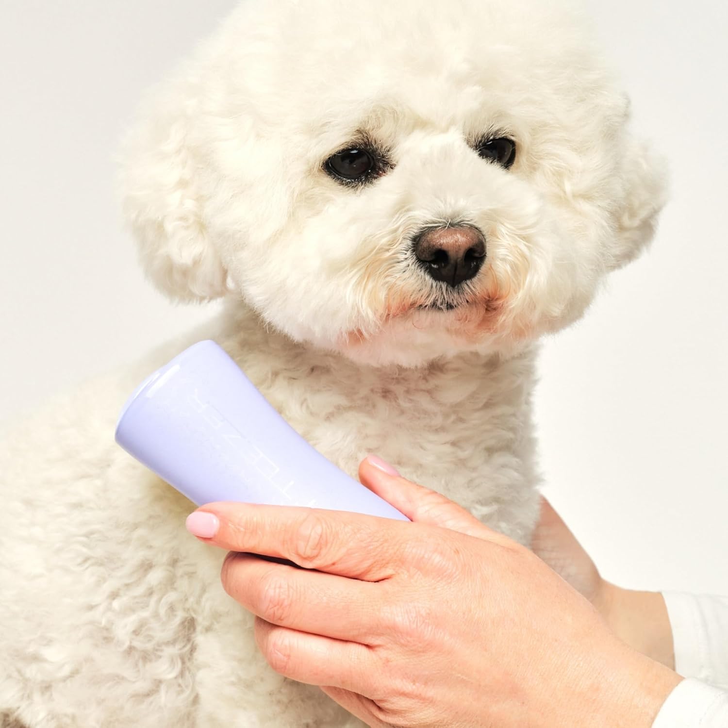 Pet Teezer Company Values